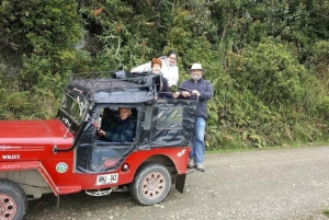 Salento: Rundtur i Salento och Cocora-dalen