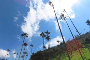 Salento: Rundtur i Salento och Cocora-dalen