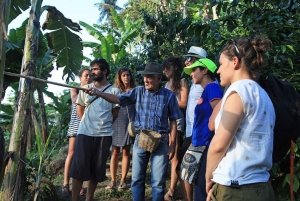 Salento: Tour en Finca Cafetera Don Elías (Guia Inglés/Español/Francés)