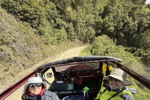 Salento: Tour to La Carbonera and the wax palm forest