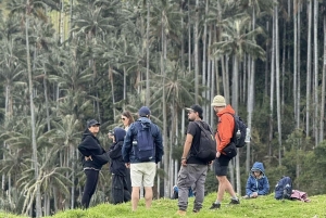 Salento: Tour to La Carbonera and the wax palm forest