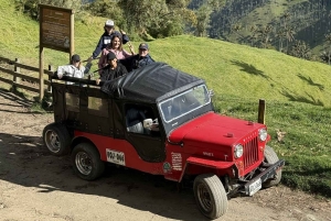 Salento: Tour to La Carbonera and the wax palm forest