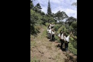 Salento: Traditionelle Kaffee Tour mit Jeep Willys Fahrt