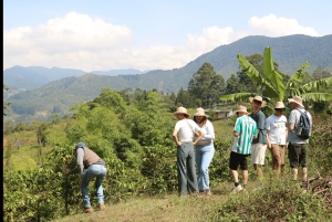 Salento: Traditionelle Kaffee Tour mit Jeep Willys Fahrt