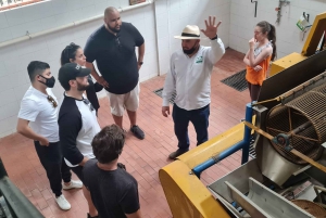 Salgar: La Manchuria Coffee Reserve Guided Tour with Lunch