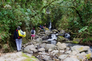 Baños termales de Salinas: desconexión y bienestar en la naturaleza