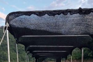 Samaná : programme d'aventure de 3 jours avec hébergement