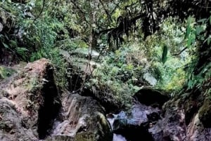 Samaná : programme d'aventure de 3 jours avec hébergement