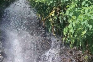 Samaná : programme d'aventure de 3 jours avec hébergement