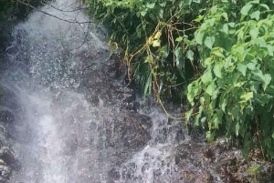 Samaná: 3-dages eventyr med overnatning