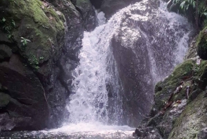 Samaná: 3-dages eventyr med overnatning