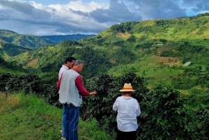 San Agustín, a trip to the Archaeological Park