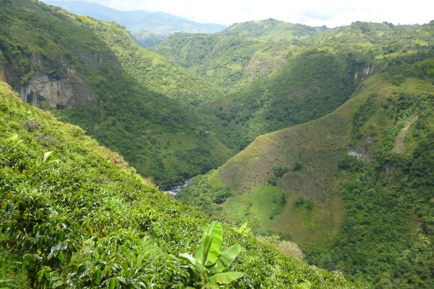 San Agustín: Führung durch Alto de los Idolos & Piedras