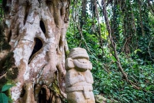 San Agustín: retki arkeologiseen puistoon - Historiallinen perintöalue
