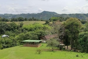 San Agustín, Huila: Full-day tour of the greats