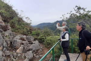 San Agustín, Huila: Full-day tour of the greats