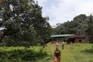 San Agustín, Huila: Full-day tour of the greats