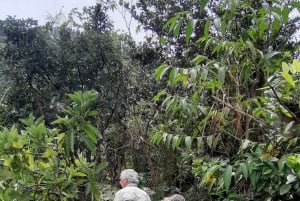 San Agustín, Huila: Full-day tour of the greats