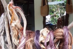 San Agustín, Huila: Full-day tour of the greats