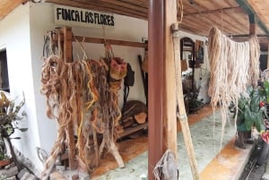 San Agustín, Huila: Full-day tour of the greats
