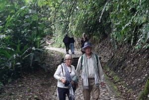 San Agustín, Huila: Full-day tour of the greats