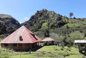 San Agustín, Huila: Full-day tour of the greats