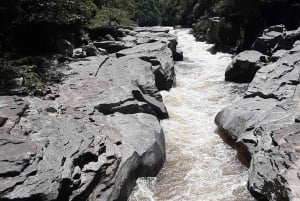 San Agustín, Huila: Full-day tour of the greats