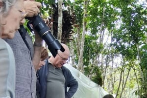 San Agustín, Huila: Tour along the Camino de las Entidades
