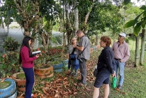 San Agustín, Huila: Tour along the Camino de las Entidades