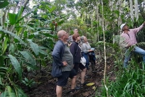 San Agustín, Huila: Tour along the Camino de las Entidades