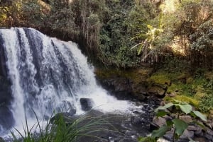 San Agustín, Huila: Tour along the Camino de las Entidades