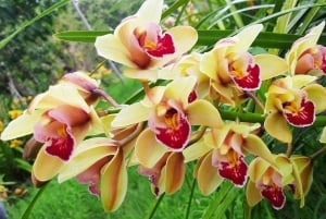 San Agustín, Huila: Tour along the Camino de las Entidades