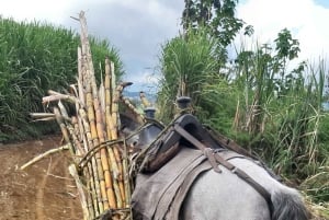 San Agustín, Huila: Tour along the Camino de las Entidades