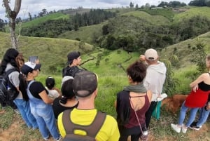 San Agustín, Huila: Tour along the Camino de las Entidades
