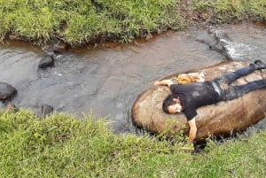 San Agustín, Huila: Tour along the Camino de las Entidades