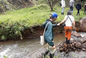 San Agustín, Huila: Tour along the Camino de las Entidades
