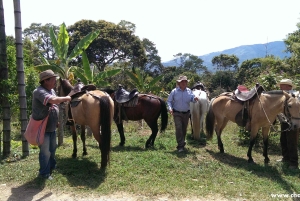 San Agustín – Popayán: 4 päivän yksityinen kierros – kahvia ja kaupunkeja