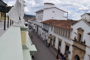 San Agustín – Popayán: 4 päivän yksityinen kierros – kahvia ja kaupunkeja