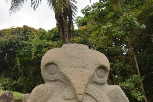 San Agustín – Popayán: 4 päivän yksityinen kierros – kahvia ja kaupunkeja