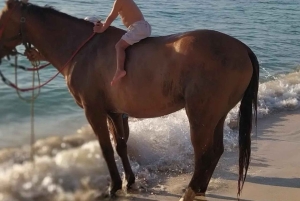 SAN ANDRES: CAVALCATA SULLA SPIAGGIA 1 ORA