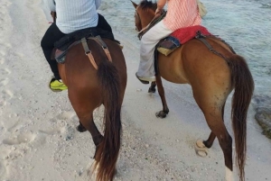 SAN ANDRES: CAVALCATA SULLA SPIAGGIA 1 ORA