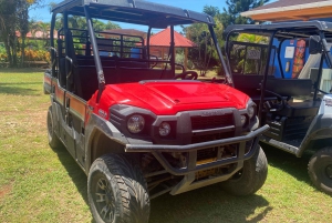 San Andrés: Alquiler de carritos de golf de 6 plazas
