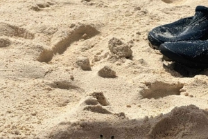 SAN ANDRES: BOOTSTRANSFER + JOHNNY CAY + JOHNNY CAY