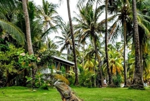 SAN ANDRES: BOAT TRANSFER + JOHNNY CAY + JOHNNY CAY