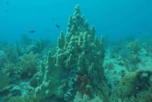 San Andres: Transfer by Boat + Natural Aquarium