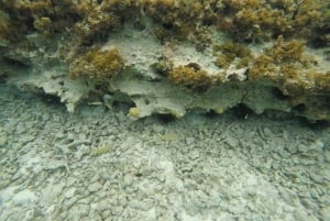 San Andres: Transfer by Boat + Natural Aquarium