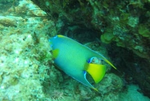 San Andres: Transfer by Boat + Natural Aquarium