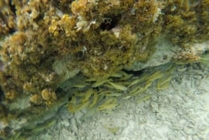 San Andres: Transfer by Boat + Natural Aquarium