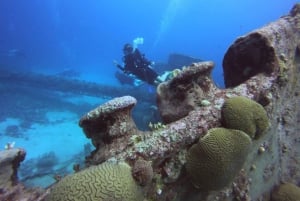 San Andres: Diving Mini Course