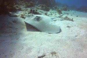 San Andres: Diving Mini Course